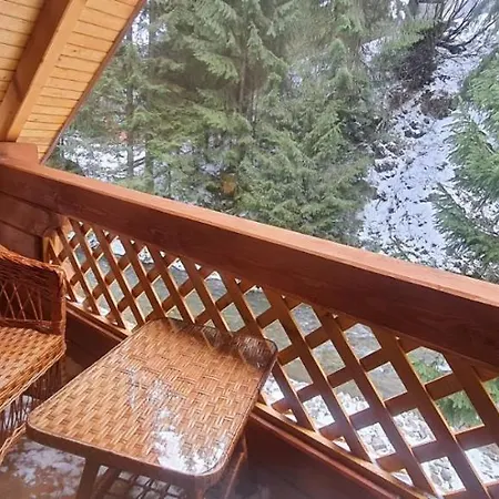 під озером синевир דירה *