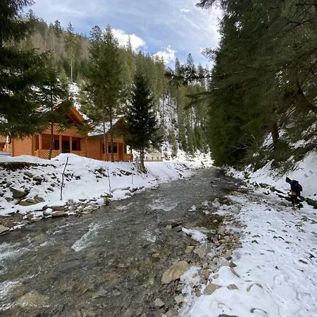 під озером синевир