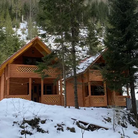 Apartamento під озером синевир *