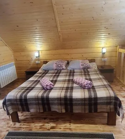 під озером синевир דירה