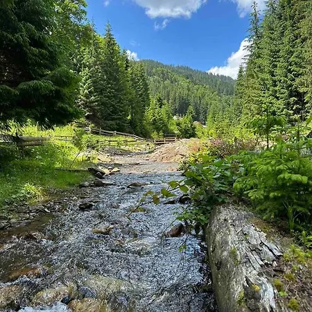 під озером синевир 아파트