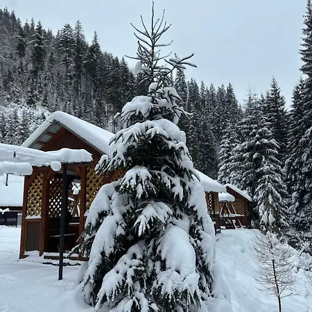 під озером синевир