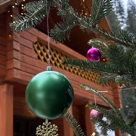 під озером синевир 아파트