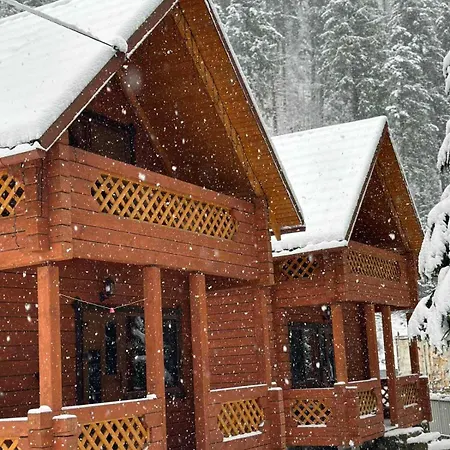 під озером синевир 아파트 *