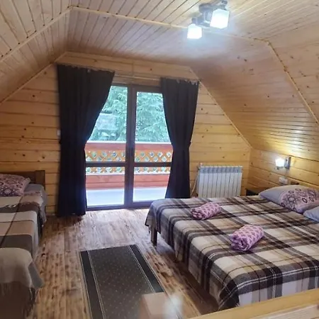 під озером синевир *